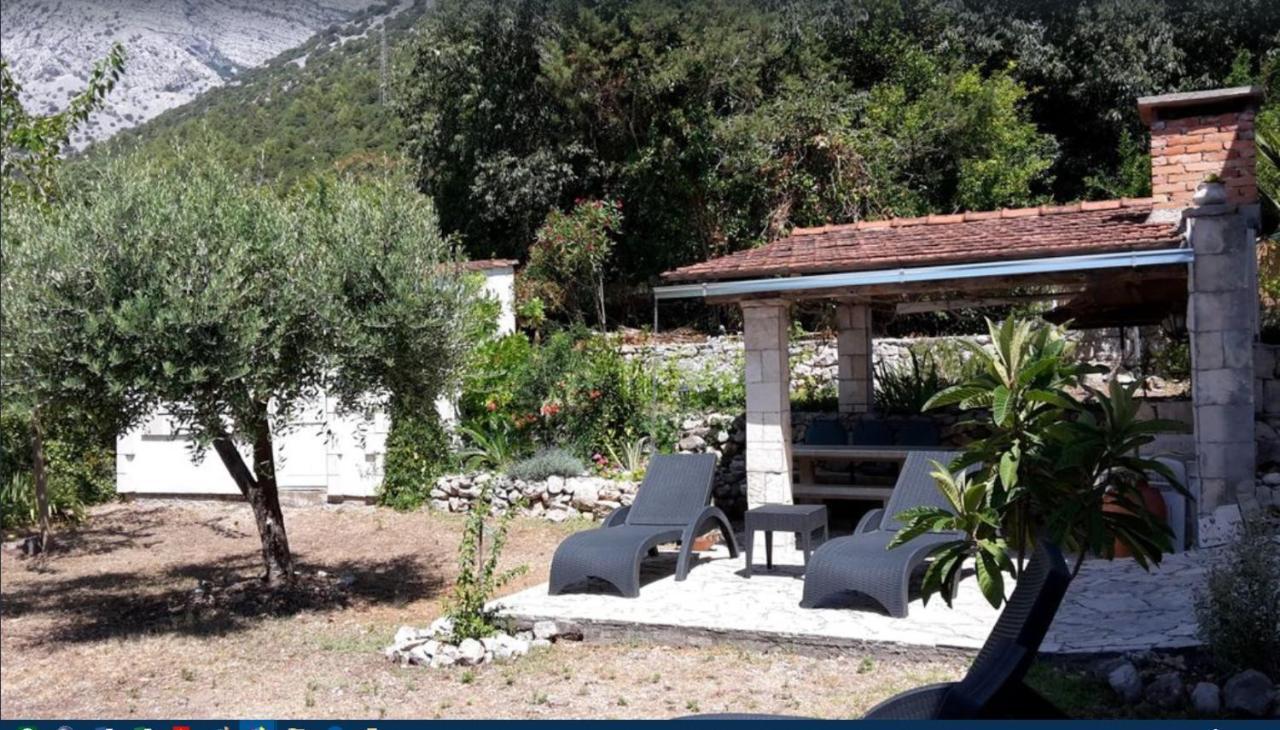 Casa Svjetlana *
