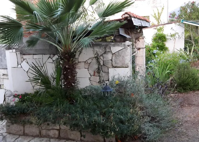Casa Svjetlana